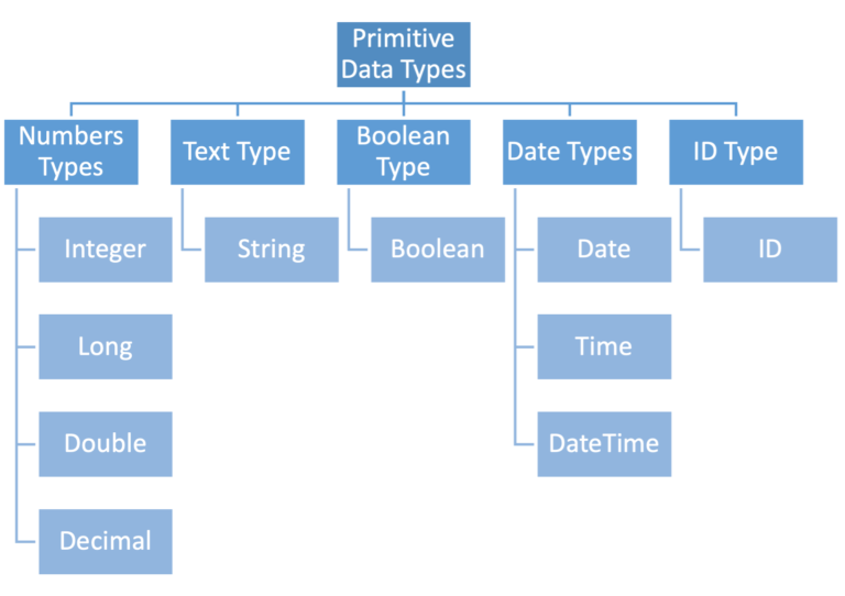 Salesforce Primitive Data Types: A Beginner's Guide with Examples